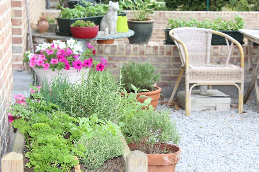 B&B De Vroling Wellen Dış mekan fotoğraf